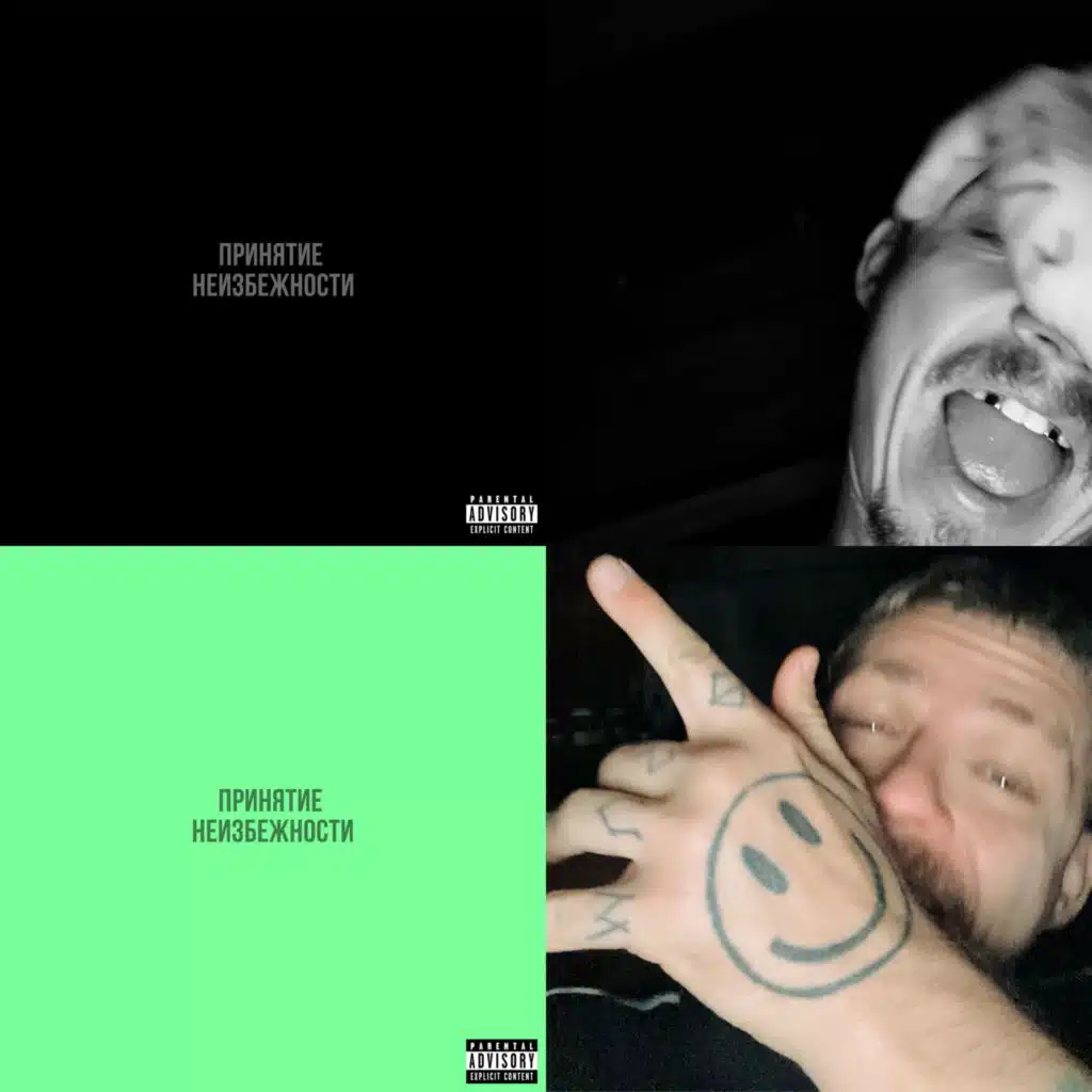 Принятие неизбежности
