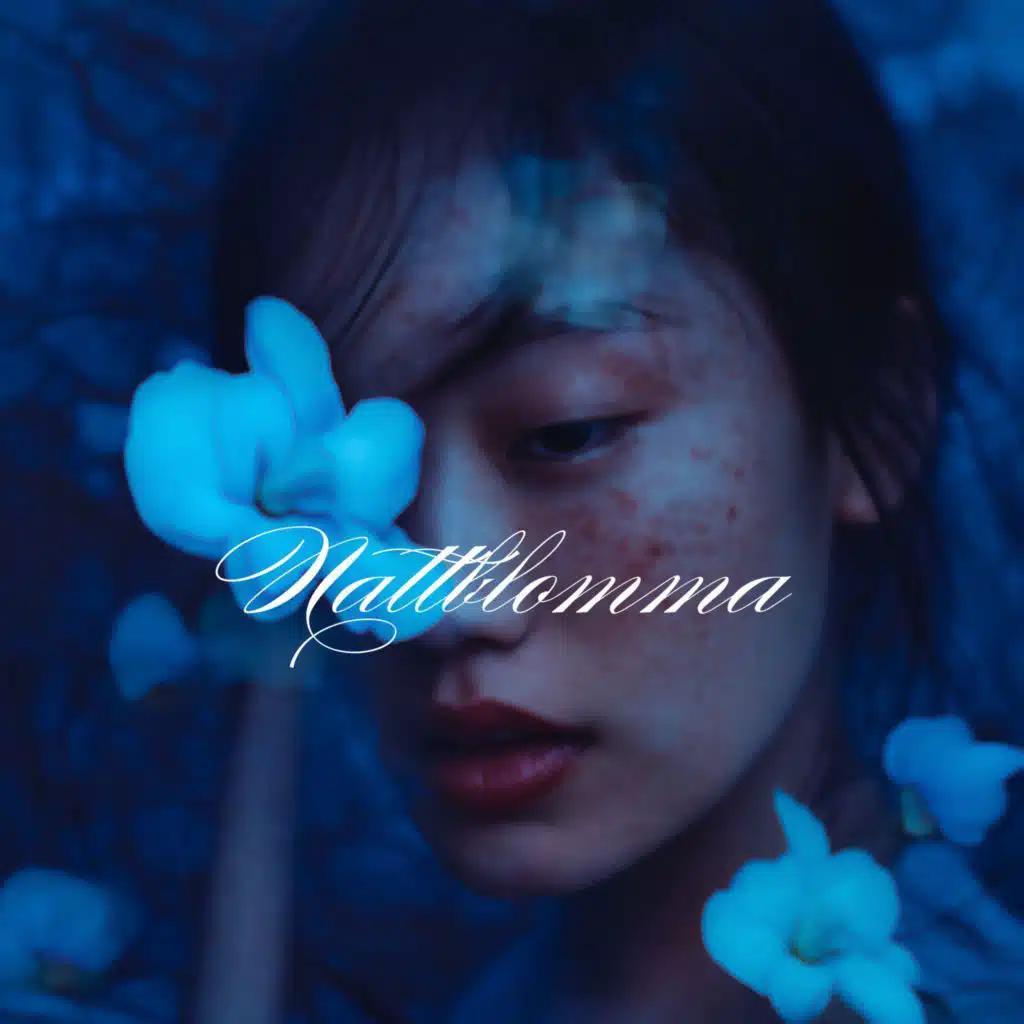 Blå Reflektion Sköld