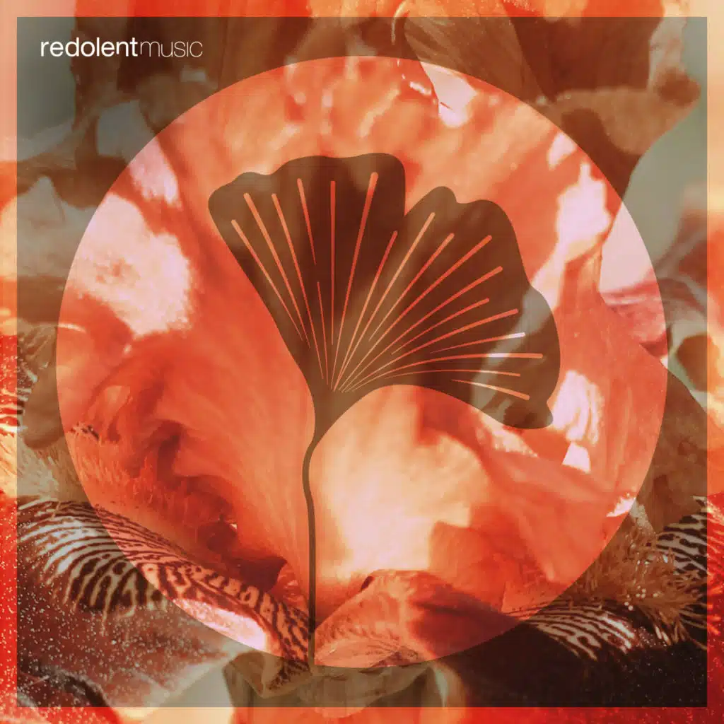 More Power (Extended Mix)