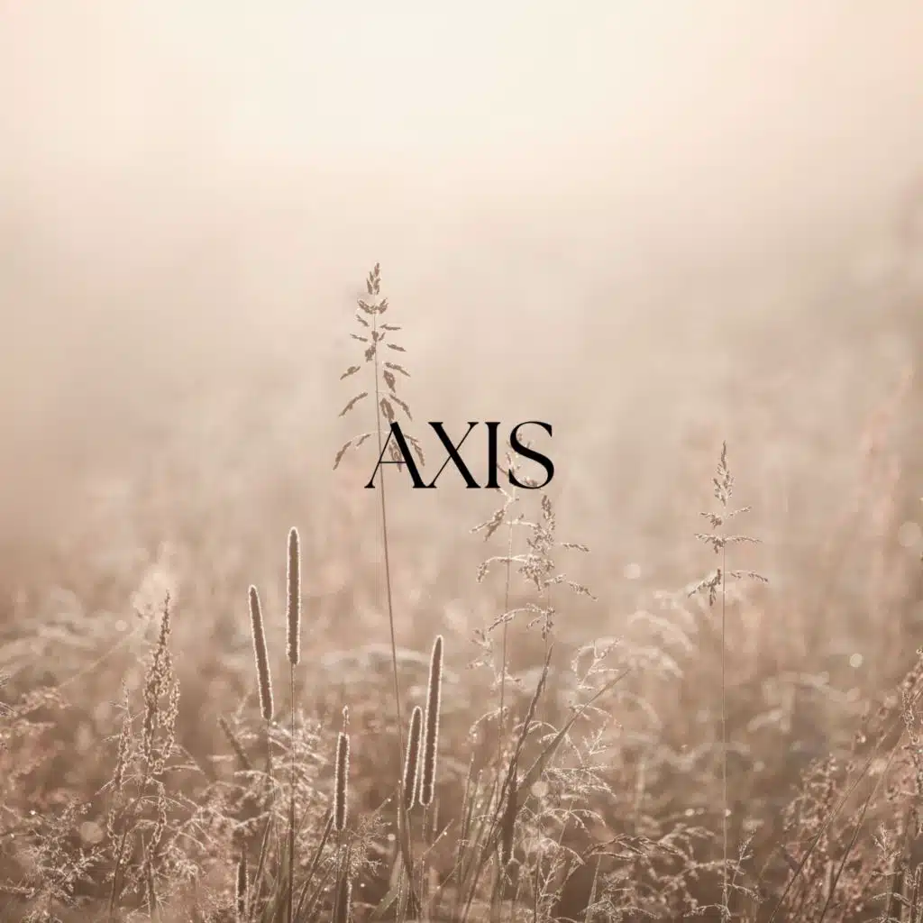 Axis
