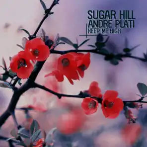 Sugar Hill & Andre Plati