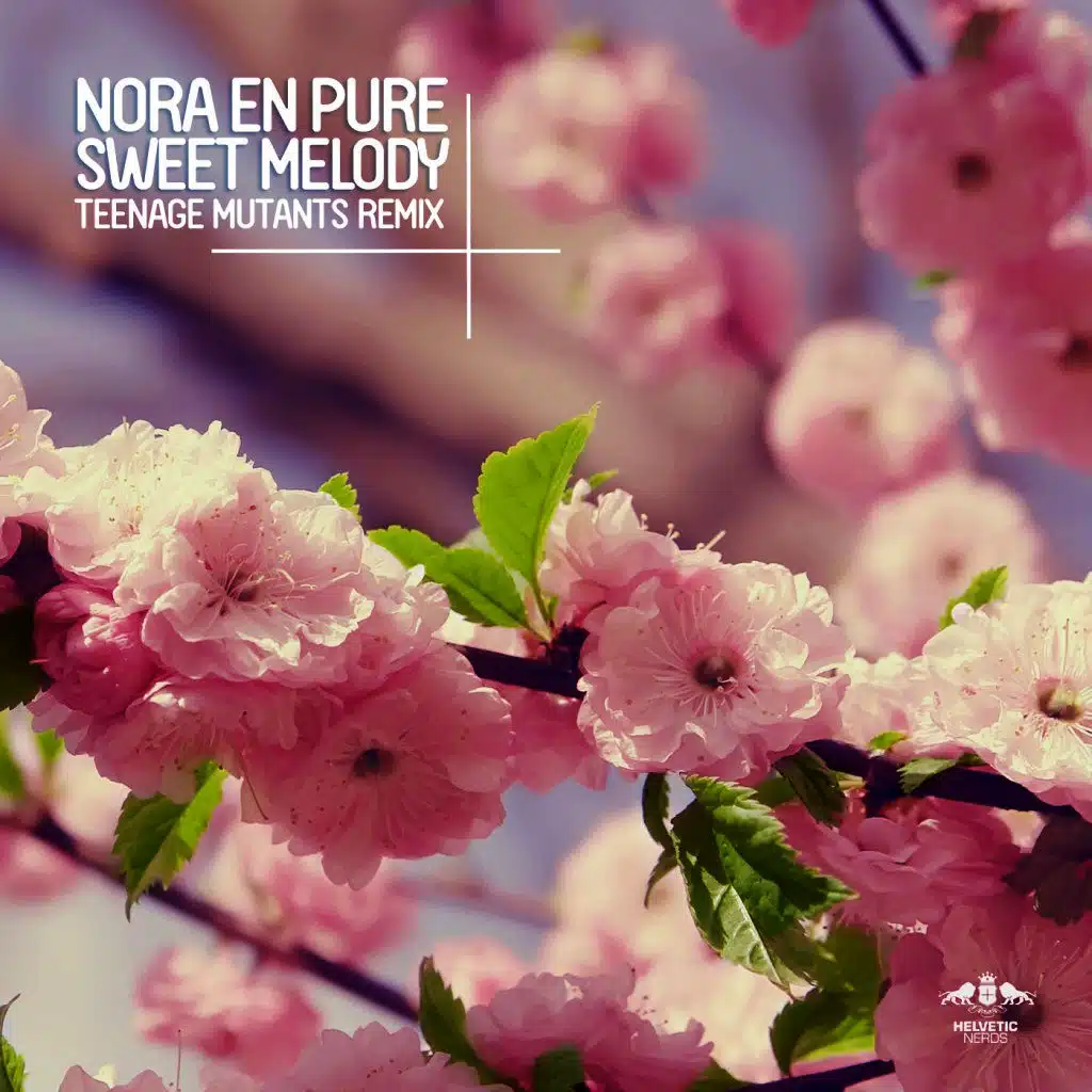 Sweet Melody (Teenage Mutants Remix)