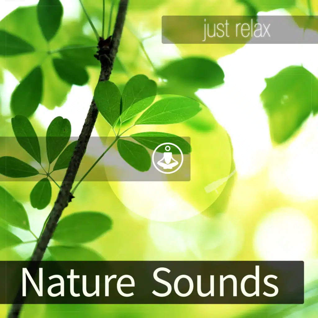 Water Sounds to Relax To