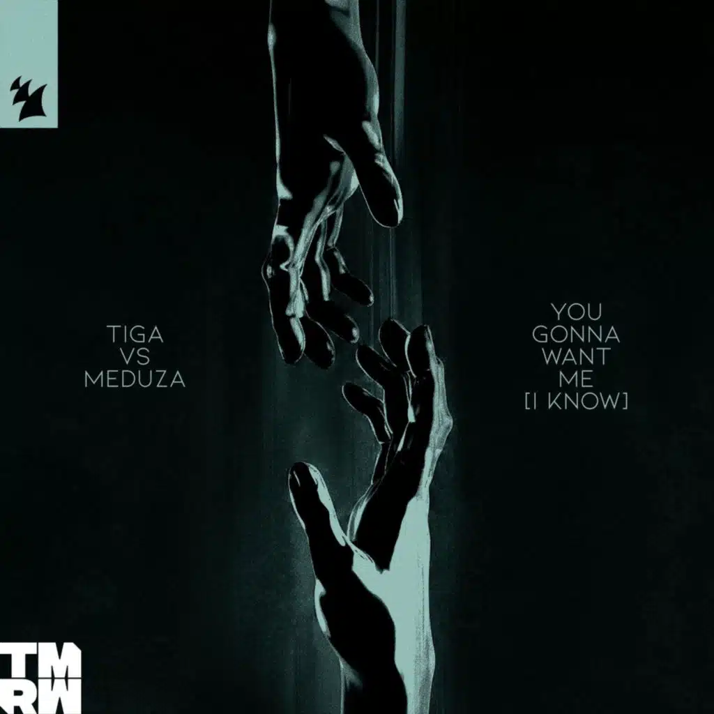 You Gonna Want Me (I Know)