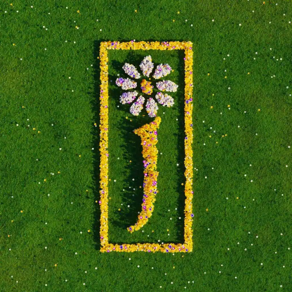 Sit Down (7" Rough Trade Version)