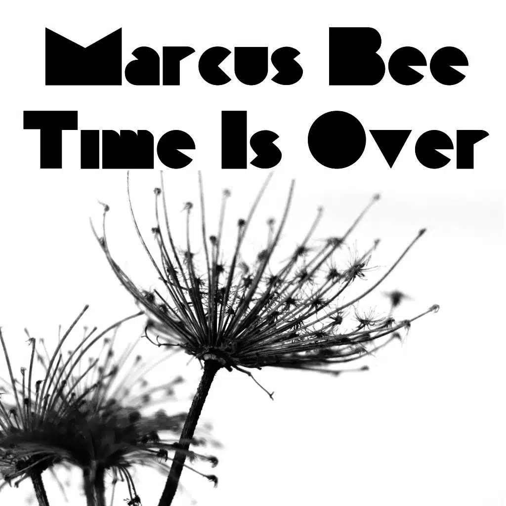 Marcus Bee