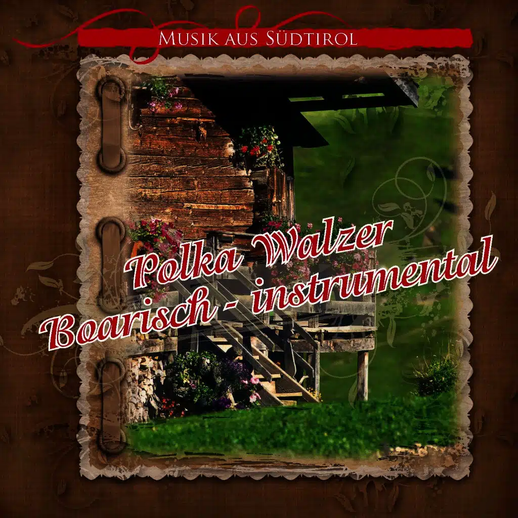 Polka Walzer Boarisch - Instrumental