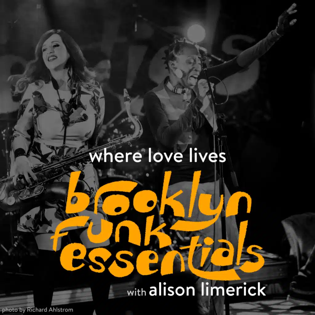 Brooklyn Funk Essentials with Alison Limerick