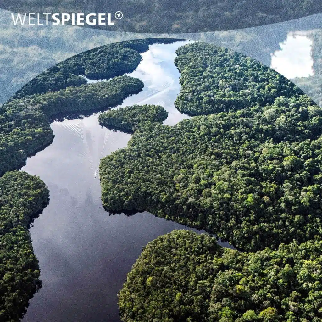 COP30: Ist der Amazonas-Regenwald noch zu retten?