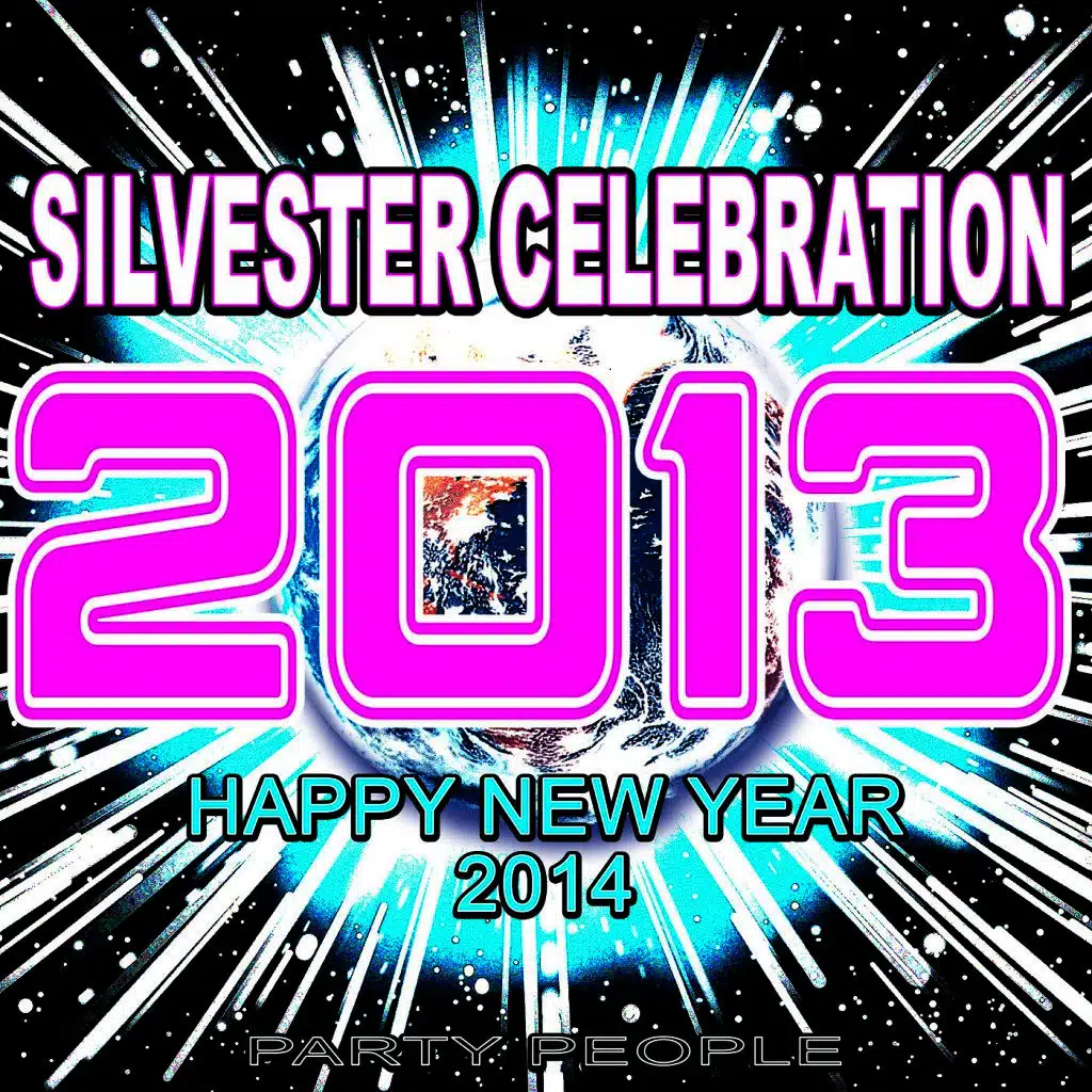 2013 Silvester Celebration Happy New Year 2014