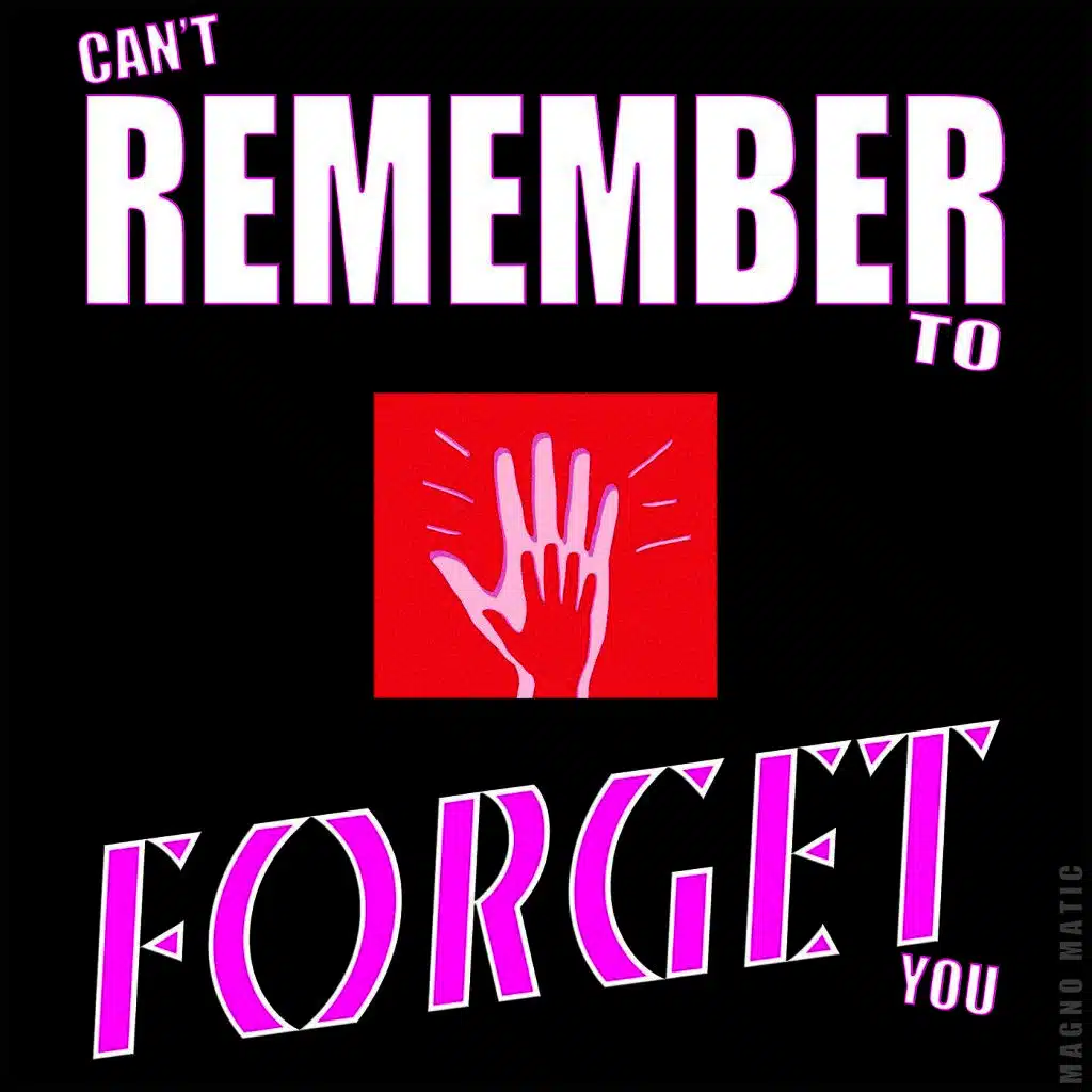 Can't Remember to Forget You