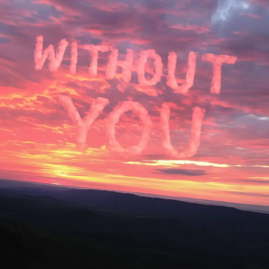 Without You