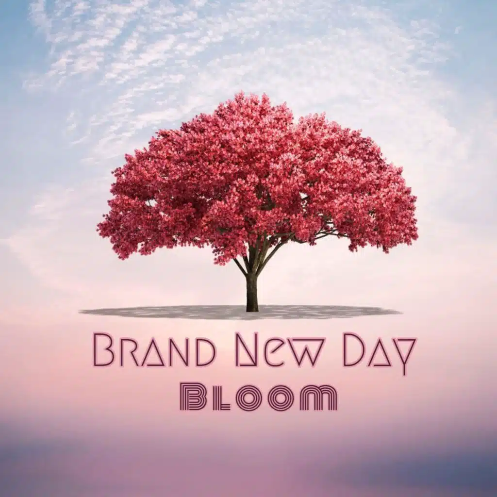 Brand New Day