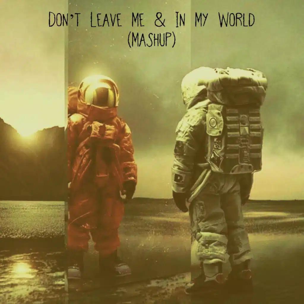 Don’t Leave Me & In My World (Mashup)