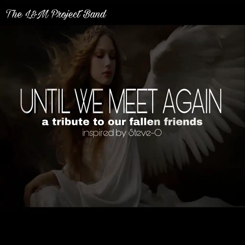 The L&M Project Band