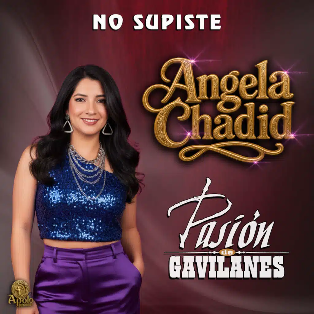 No Supiste (En Vivo)