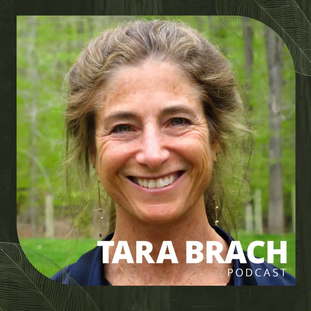 Meditation: The Sacred Pause — Clearing to remember Heartspace (6:56 min)