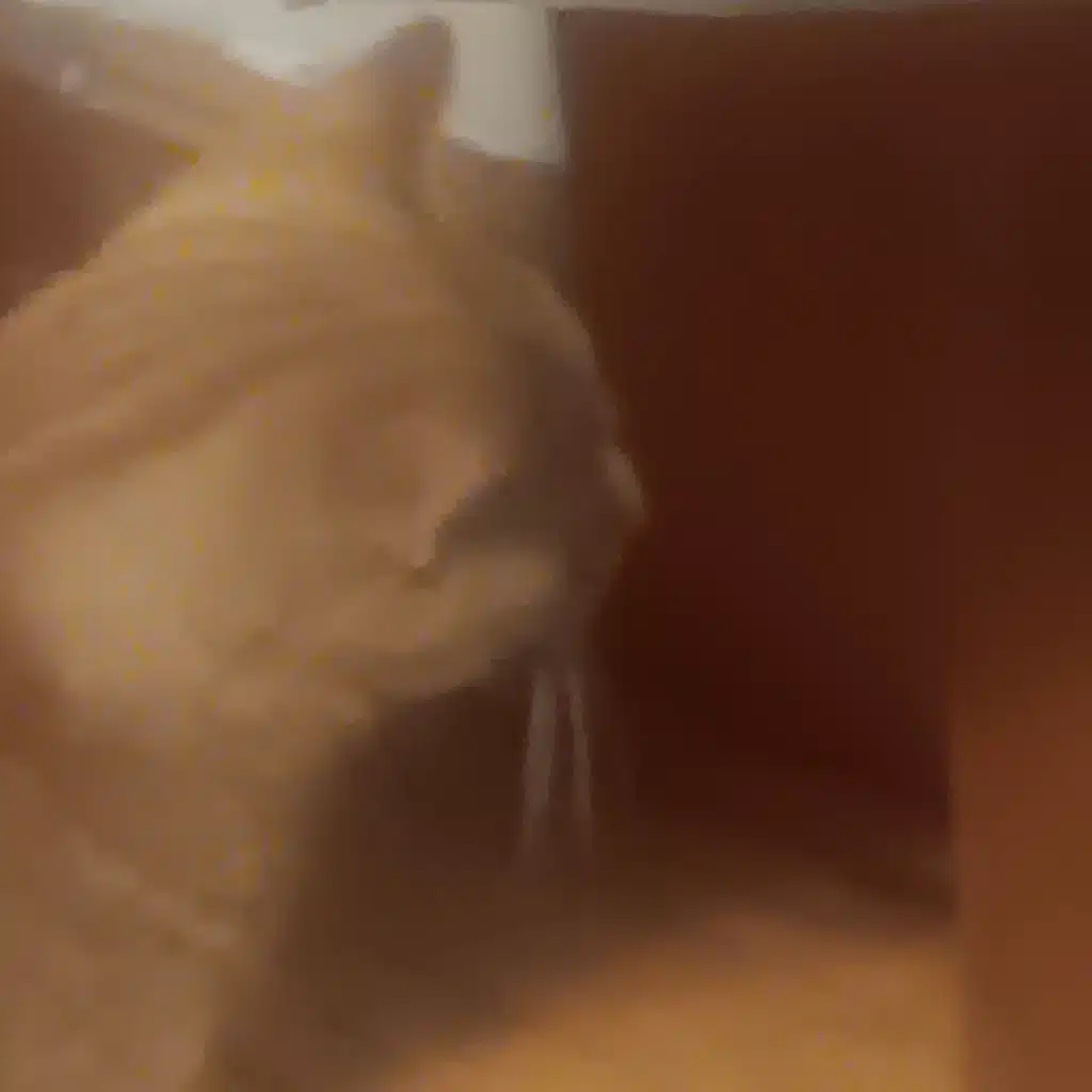 7 Seconds of Bedroom Pop