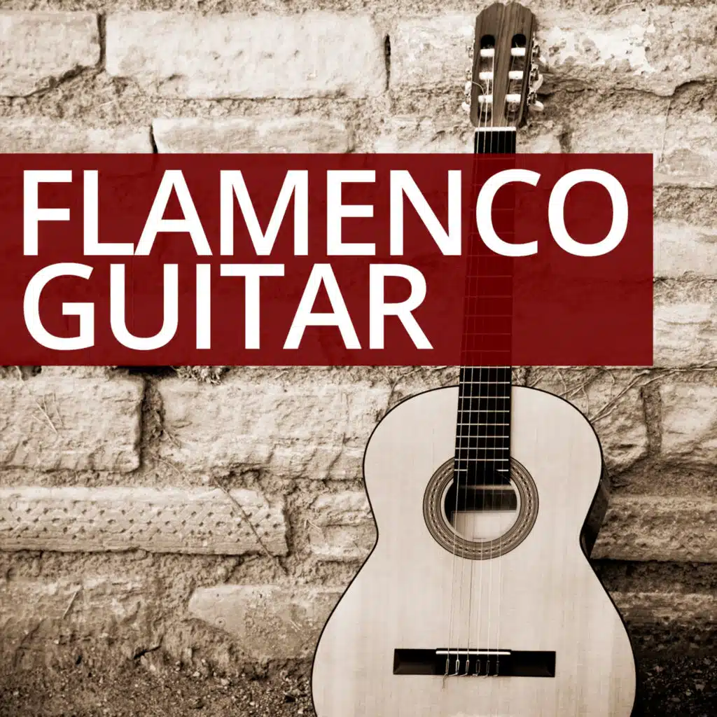 Flamenco Guitar