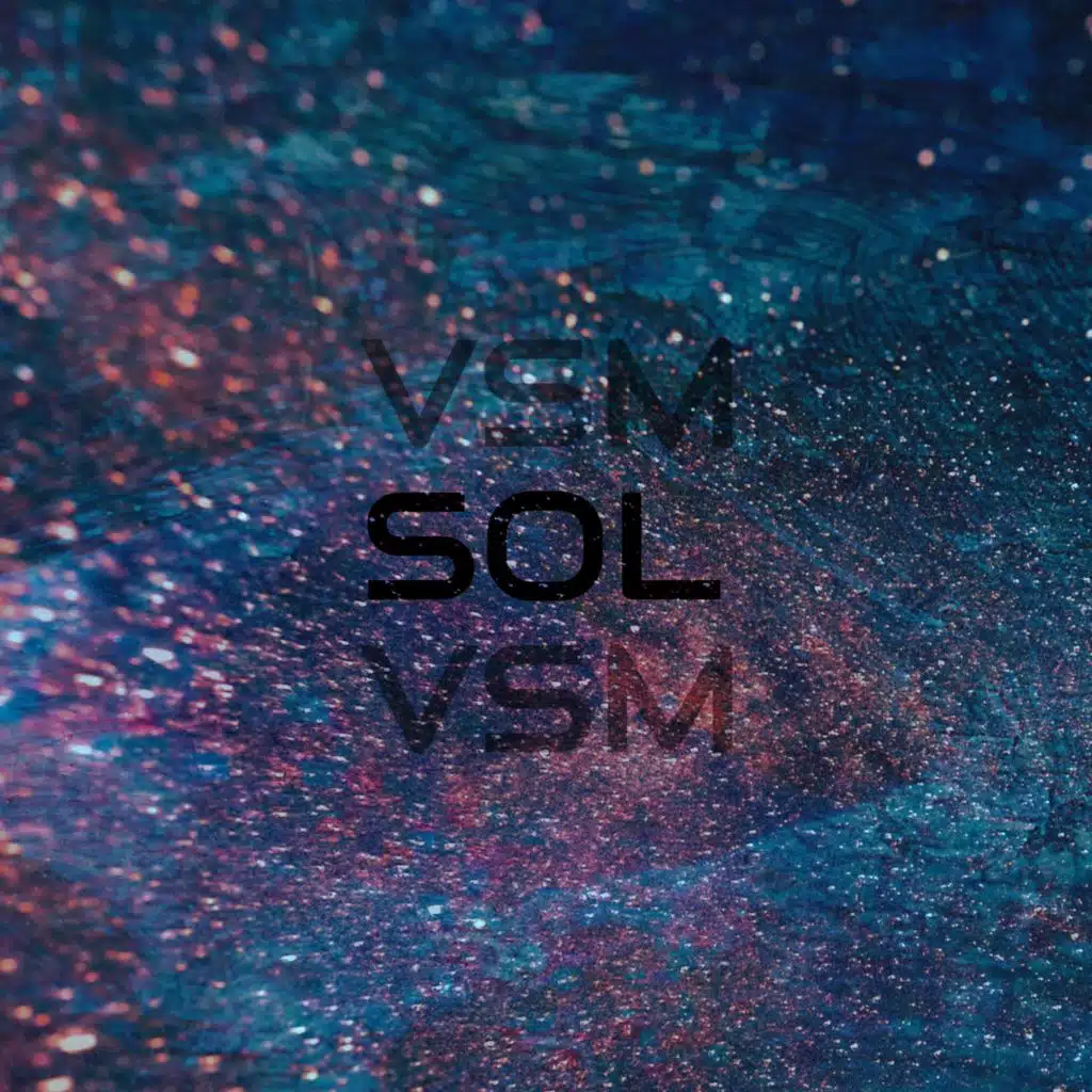 VSM