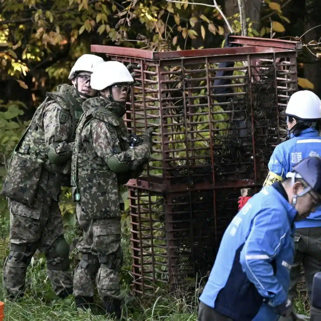 SNAP, Portland, Brazil's weapons and Japan’s bears