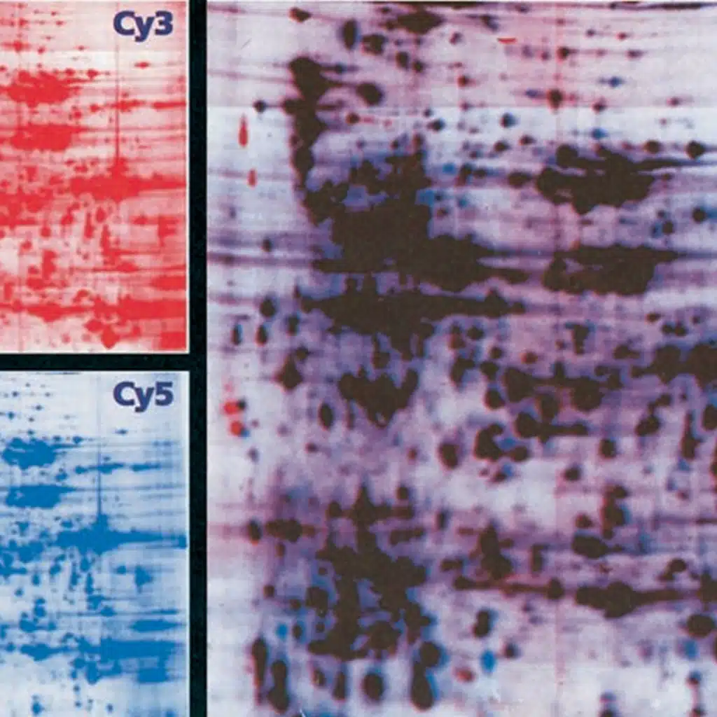 Molecular Tools for Studying Genes and Gene Activity (CMB part 3)