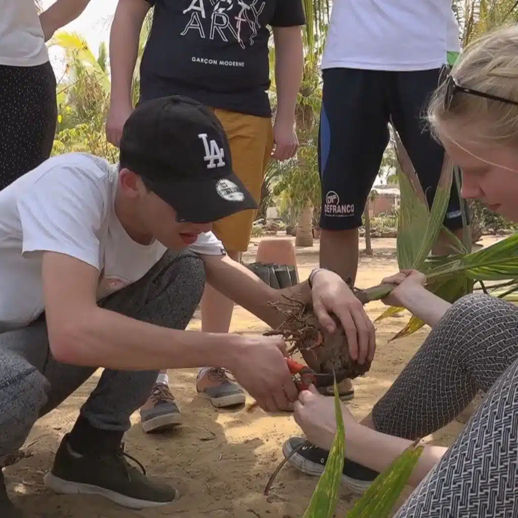 L’agroécologie pour une Terre vivante