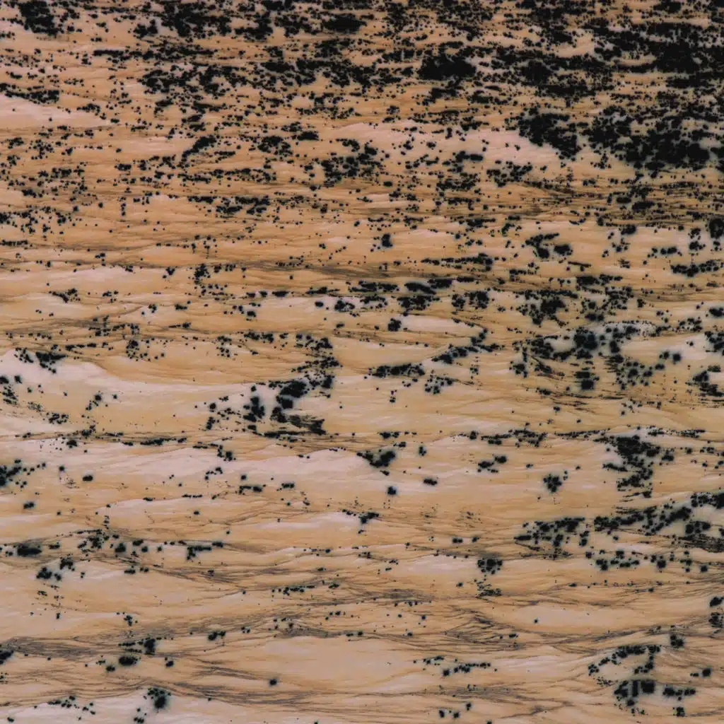 Ecos del Río Muerto