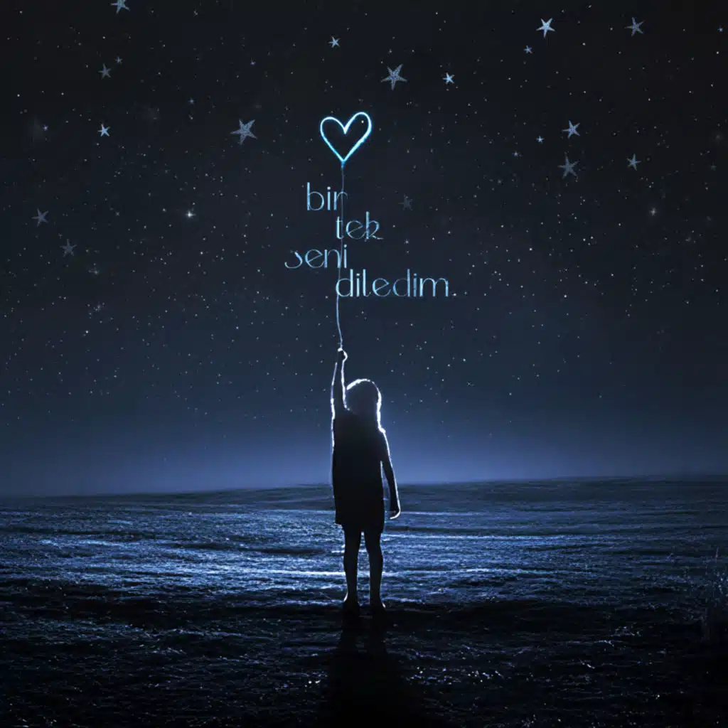 Bir Tek Seni Diledim