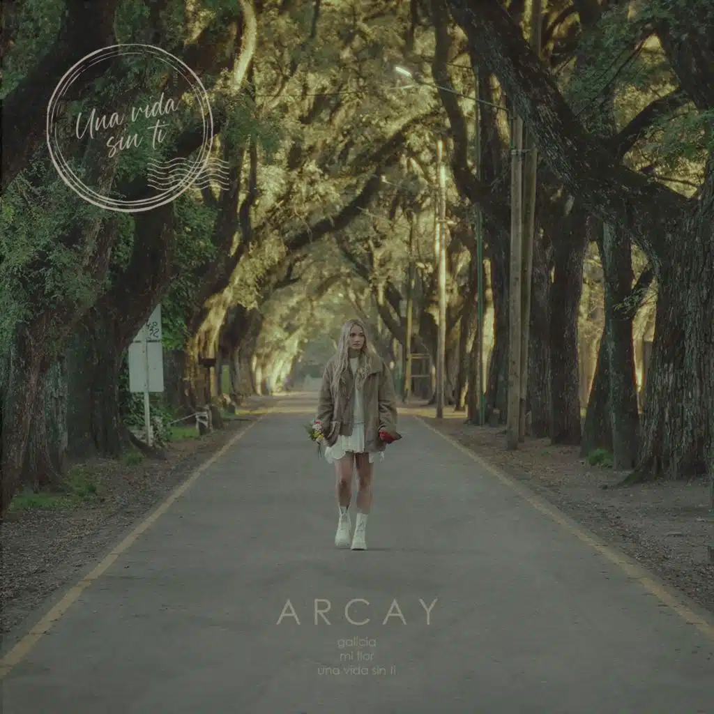Arcay