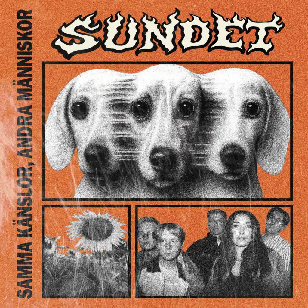 Sundet