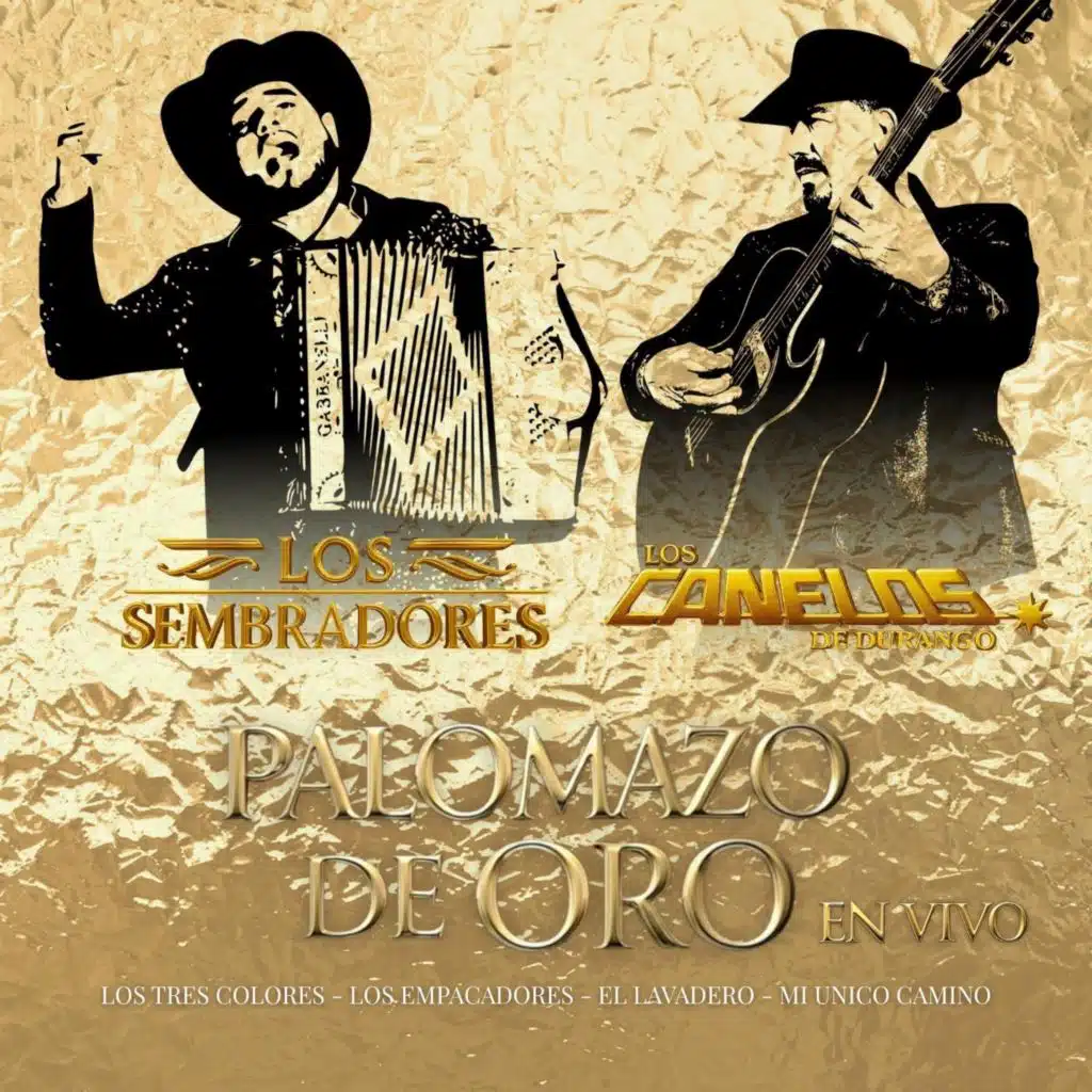 Palomazo De Oro (En Vivo)