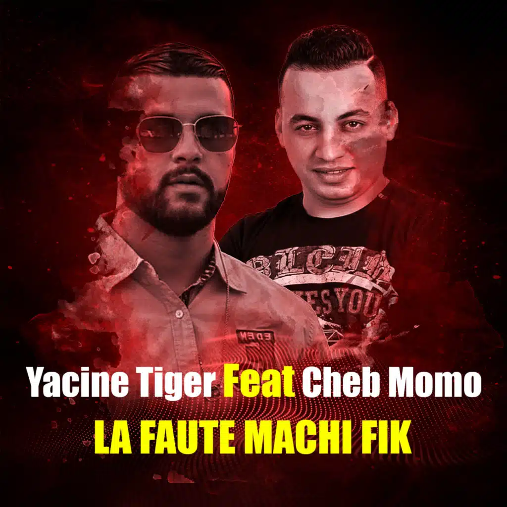 LA FAUTE MACHI FIK (feat. Cheb Momo)