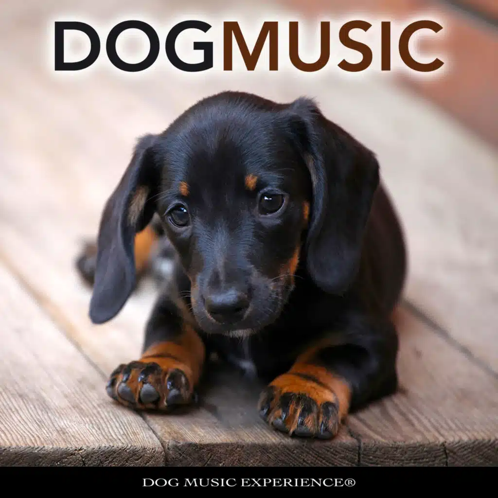 Soft Music For Dogs
