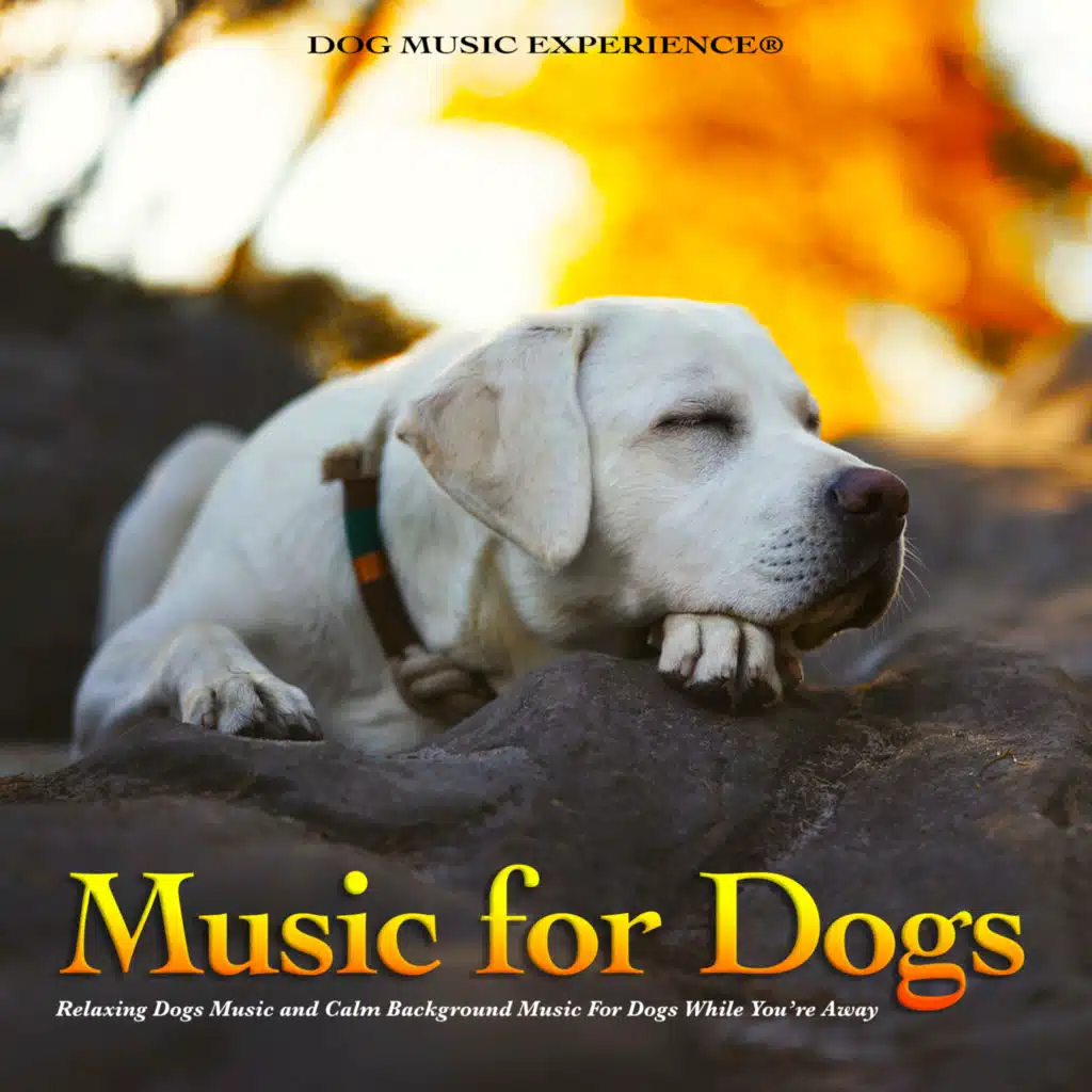Music For Dogs: Relaxing Dogs Music and Calm Background Music For Dogs While You’re Away