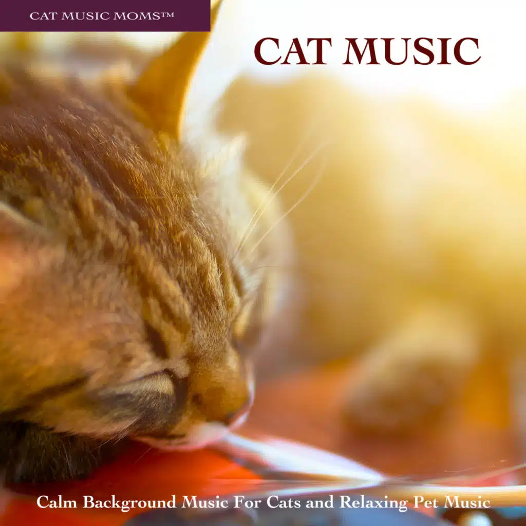 Soft Music For Pets