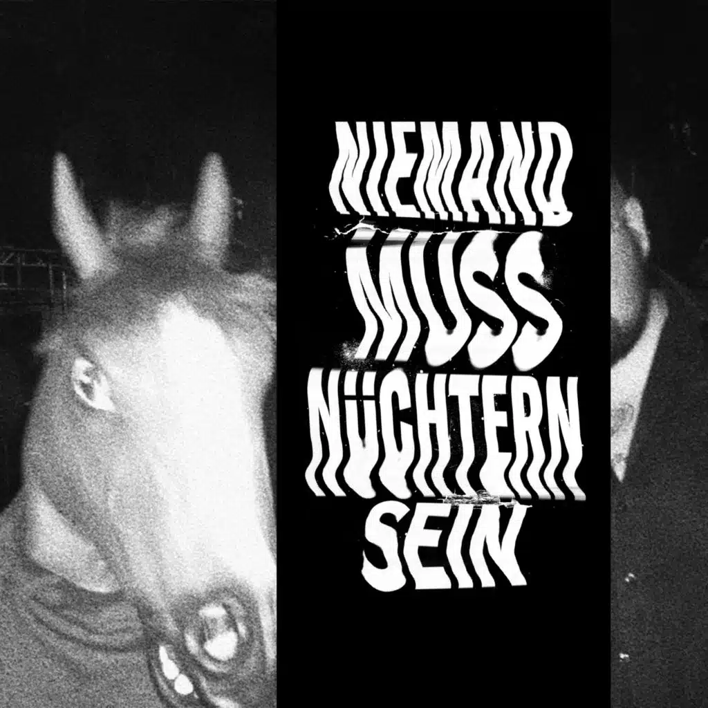 Feine Sahne Fischfilet