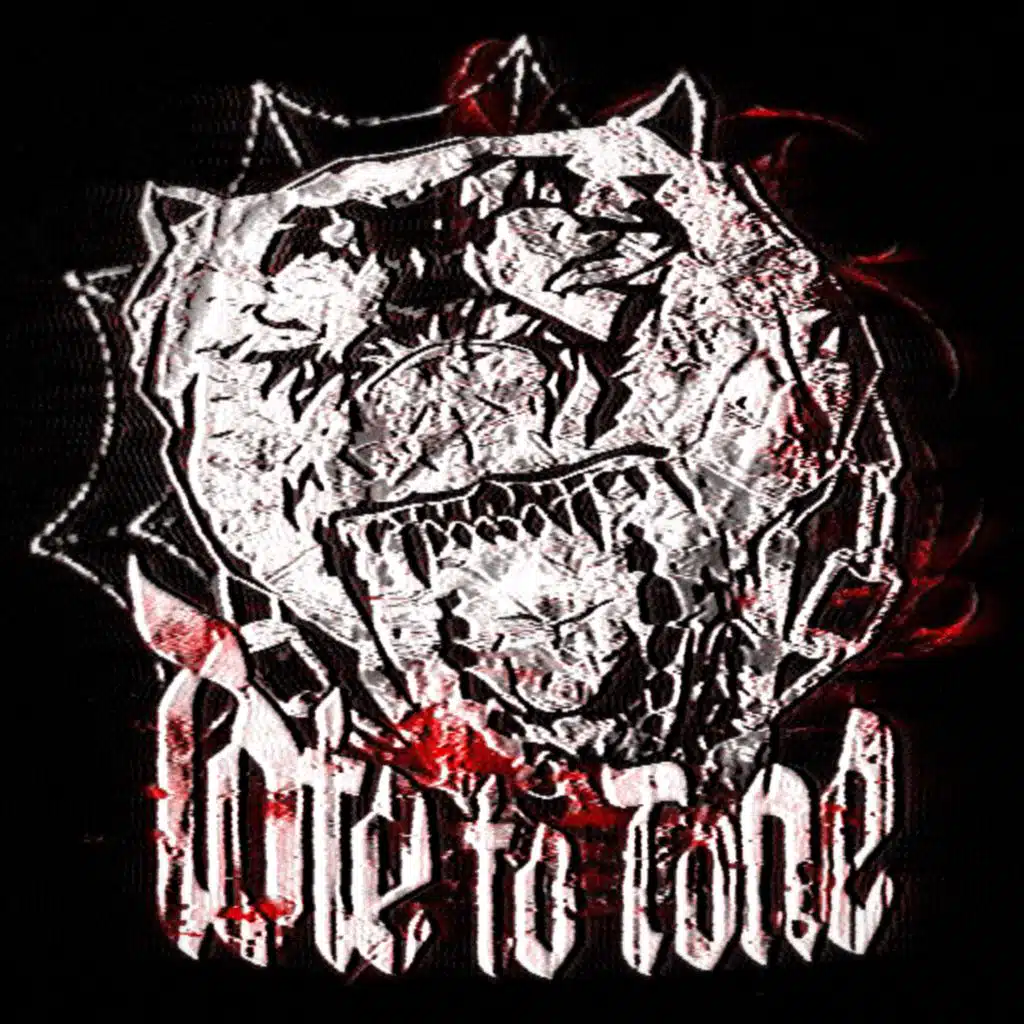 TOTE TO TONE