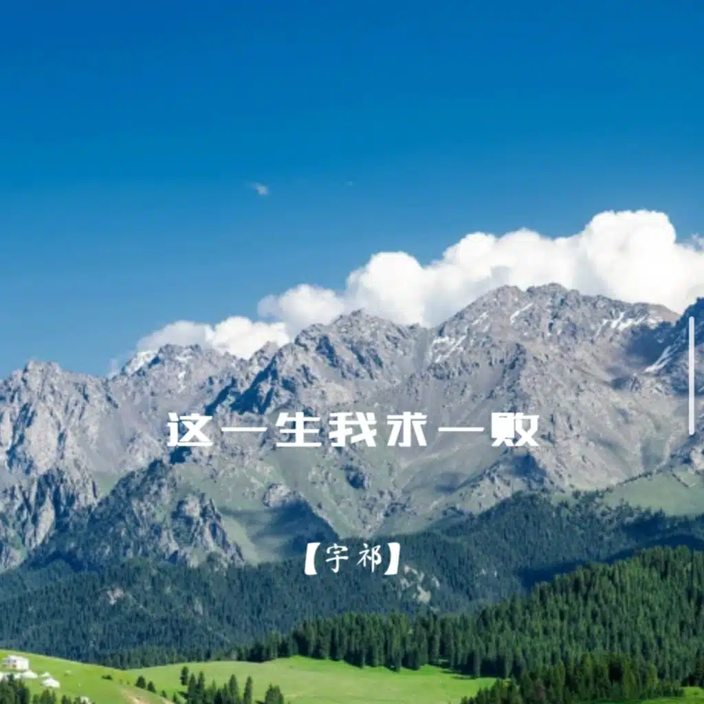 这一生我求一败