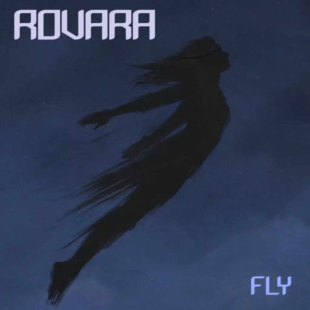 Fly