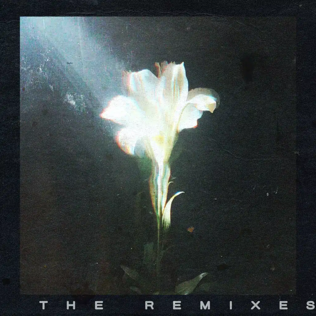 Light That Leads Me (The Remixes)