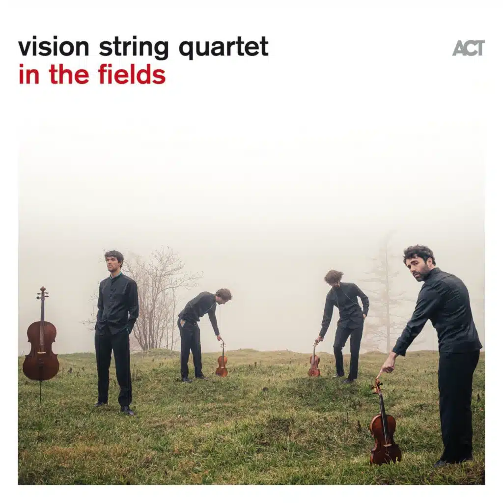 vision string quartet