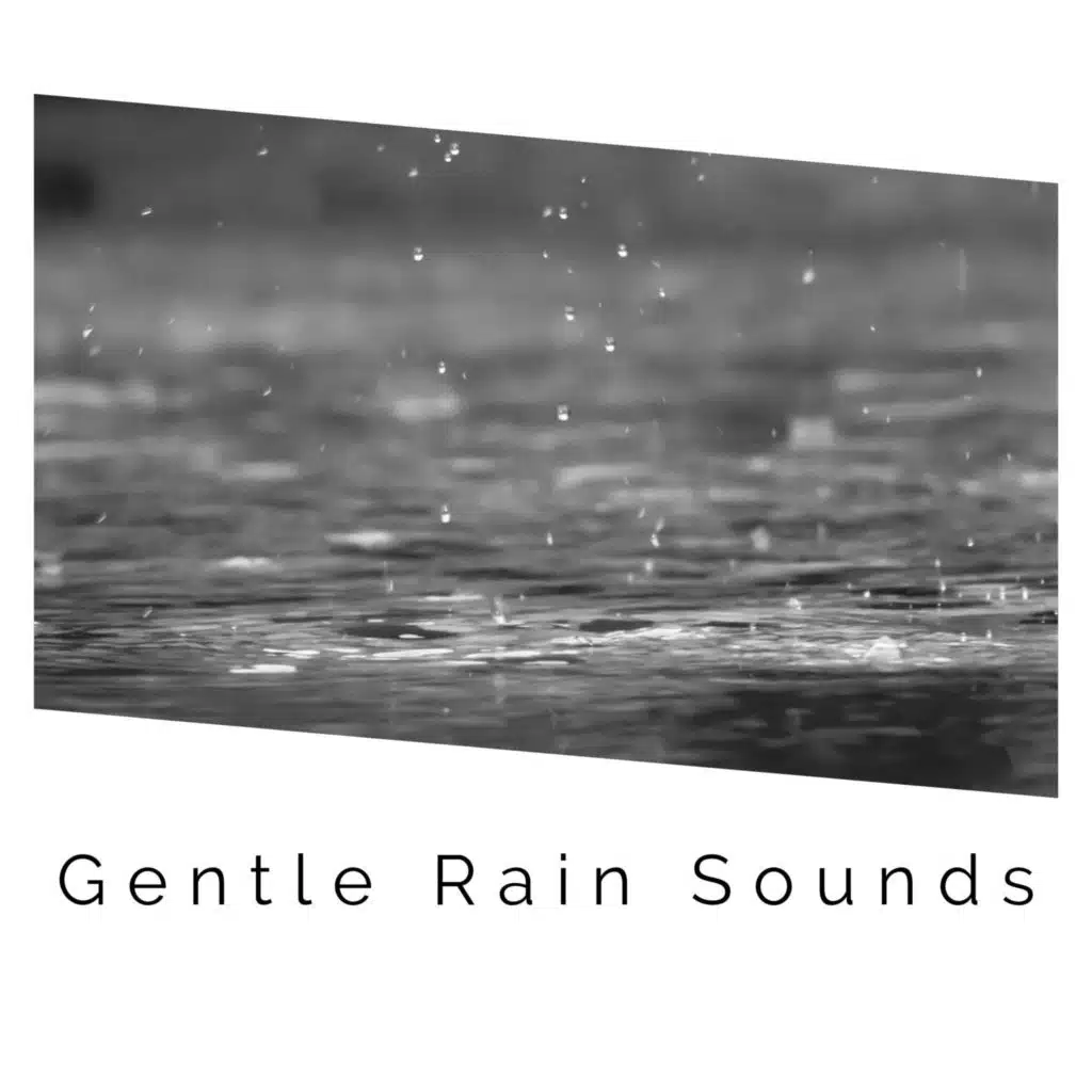 Quiet Rain