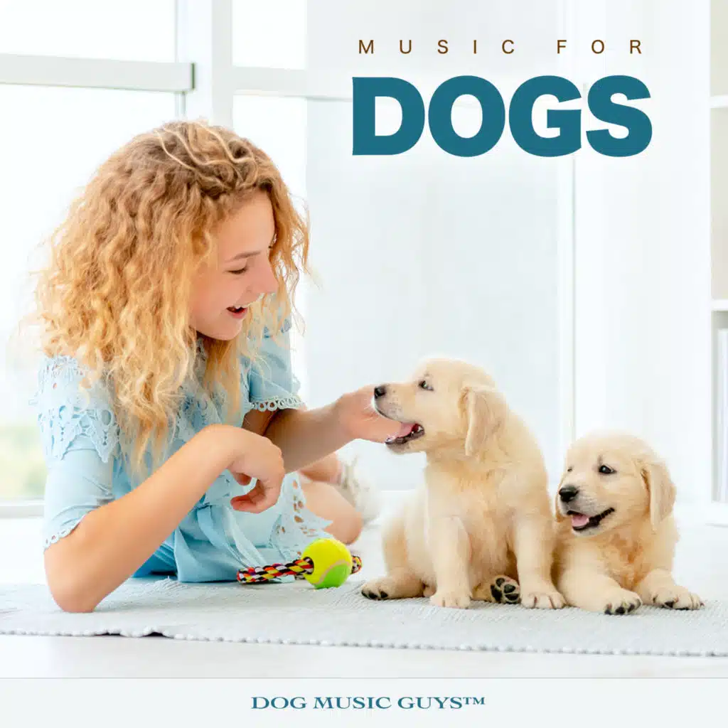 Music For Dogs: Calm Dog Music For Relaxation, Anxiety, Sleeping Music For Pets and The Best Dog Music