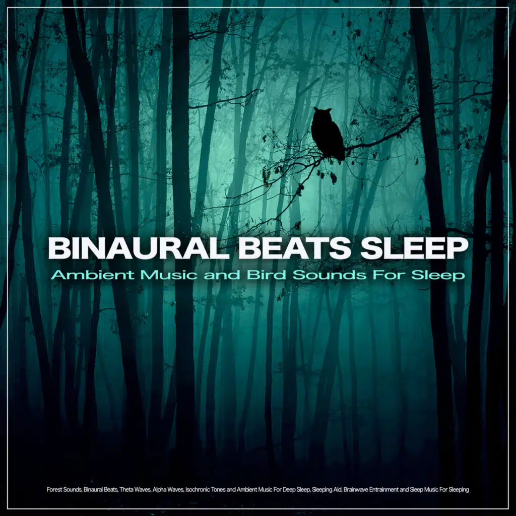 Binaural Beats Sleep