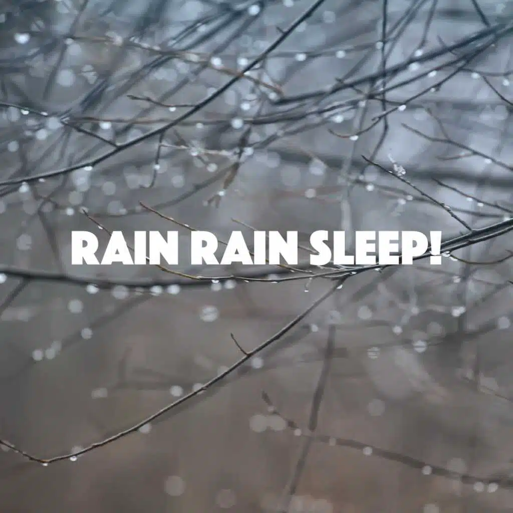 Rain Rain Sleep!