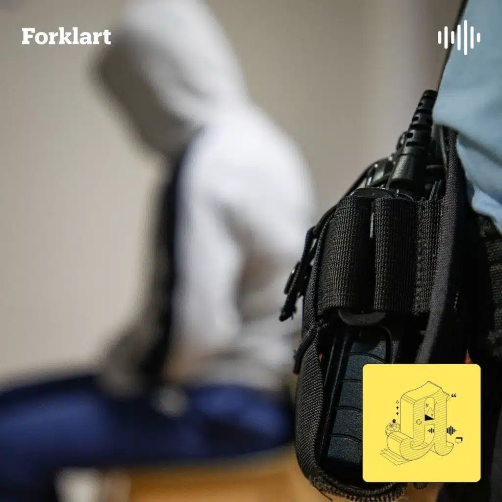 Politiet slår alarm: Kriminelle nettverk tapper statskassen