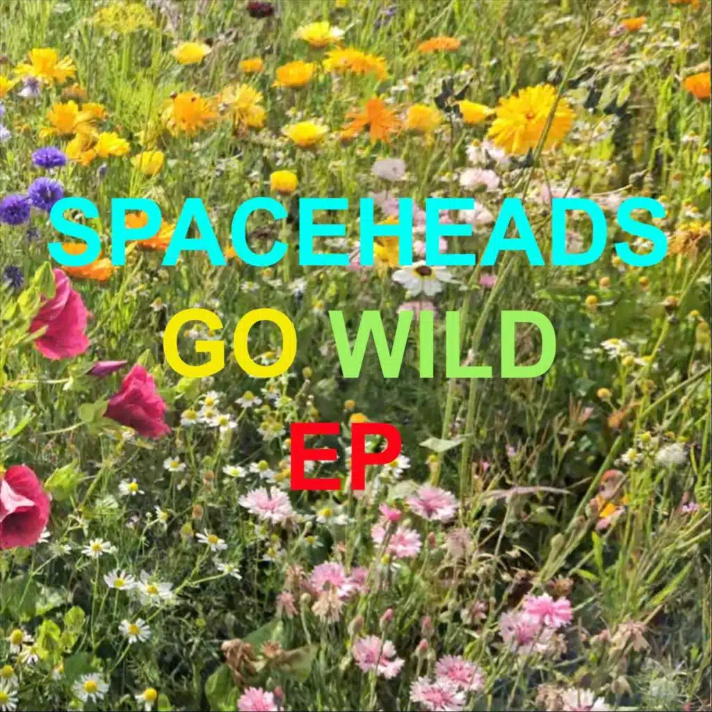 Spaceheads