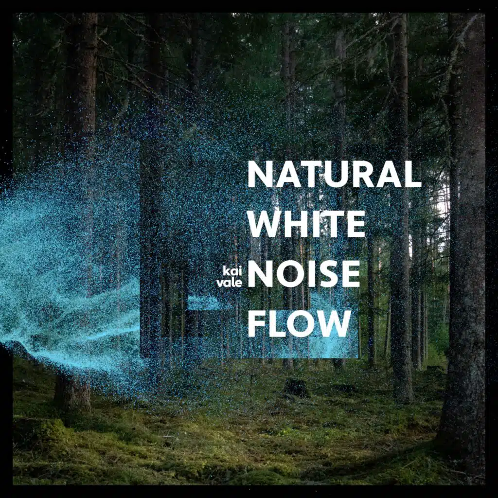 Natural White Noise Flow