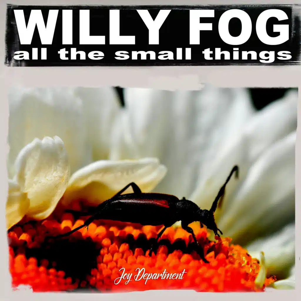 Willy Fog